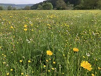 IMG_1723