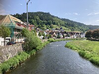 IMG_1742