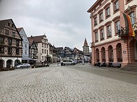 IMG_1756