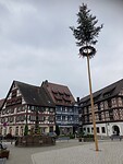 IMG_1755