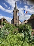 IMG_1775