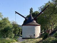 IMG_1864