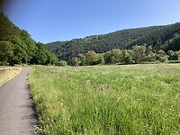 IMG_1868