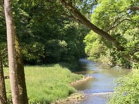 IMG_1869