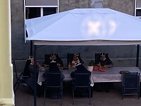 IMG_1929