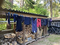 IMG_1943