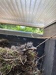 IMG_1947