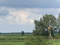 Uiterwaarden IJssel