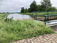 IMG_2517