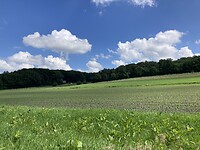 IMG_2602