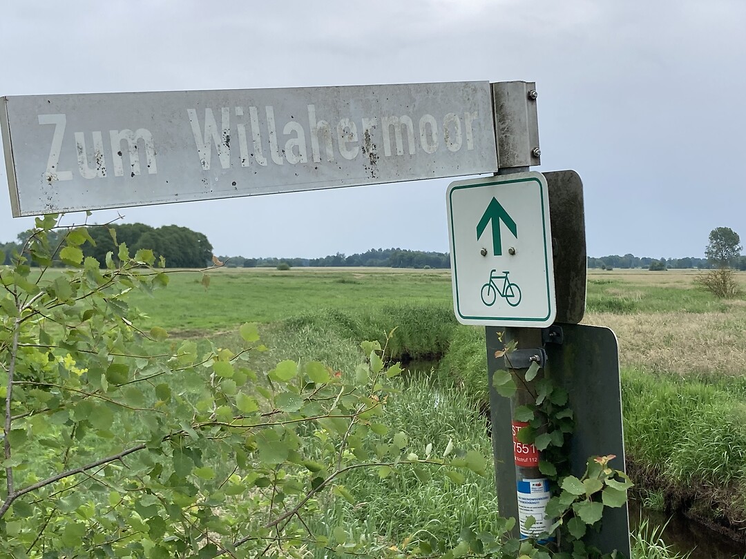 Zum Williamsmoor