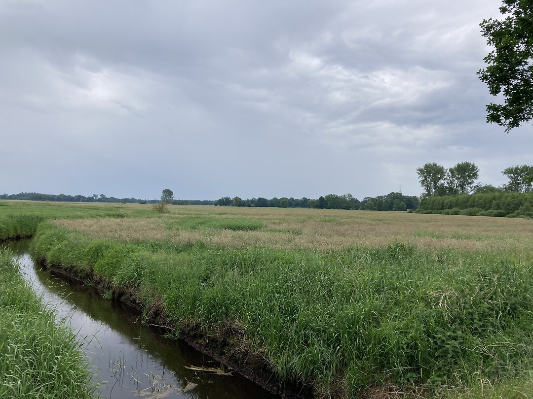 Veenlandschap bij Oldendorf