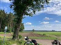 Veen en bos