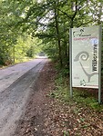 IMG_2683