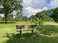 IMG_2692