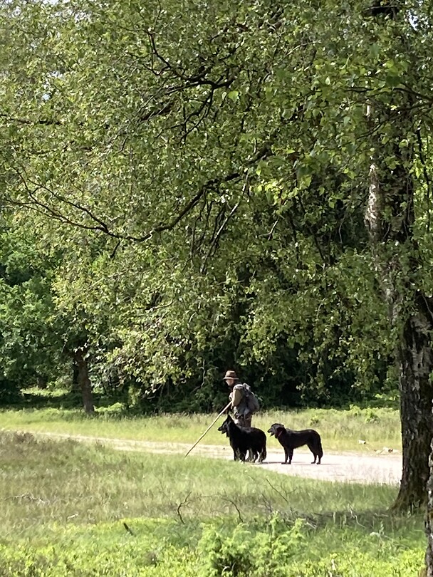 De herder