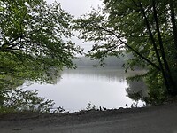 IMG_2681