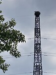 IMG_2796