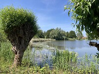 IMG_3756
