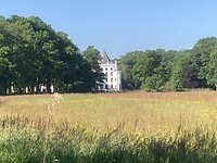 IMG_3736