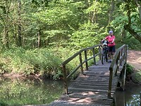 IMG_3825