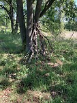 IMG_3851