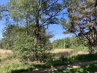 IMG_3849