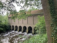 IMG_3859