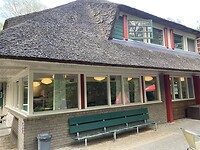 IMG_3875