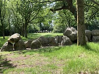 IMG_3871