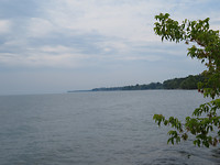 IMG_0265