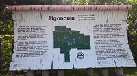 20170704_102655