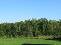 IMG_0550