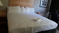 IMG-20170709-WA0008