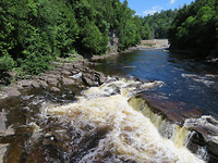 IMG_0737