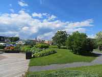 IMG_0812