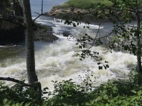 IMG_1236