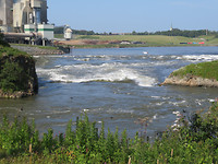 IMG_1262