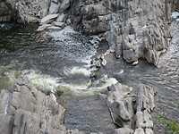IMG_1284