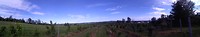 2017-07-23 17.43.14