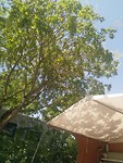 IMG_20190703_135804