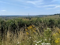 IMG_20190707_124521