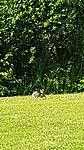 IMG-20210608-WA0000