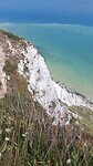 beachy Head clifs
