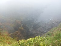 Cove bij lizard