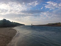 haven hayle