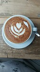 Mocha