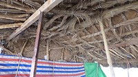 mhaireth palm en grasdank