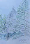 courmayeur.studiedennenboom