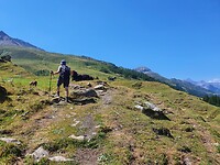 dwars.over.de.alpenweide